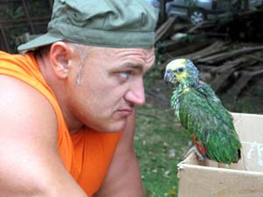 Пока к Турчинскому не прилетело семейство, ведущий коротал досуг в общении с попугаями.