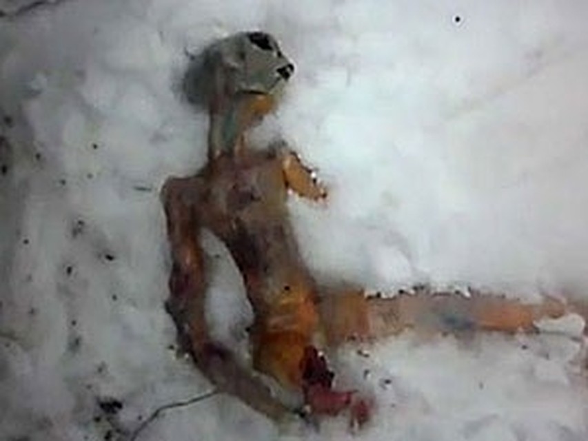 Судьба инопланетянина, которого нашли в тайге у села Каменска, взбудоражила людей.