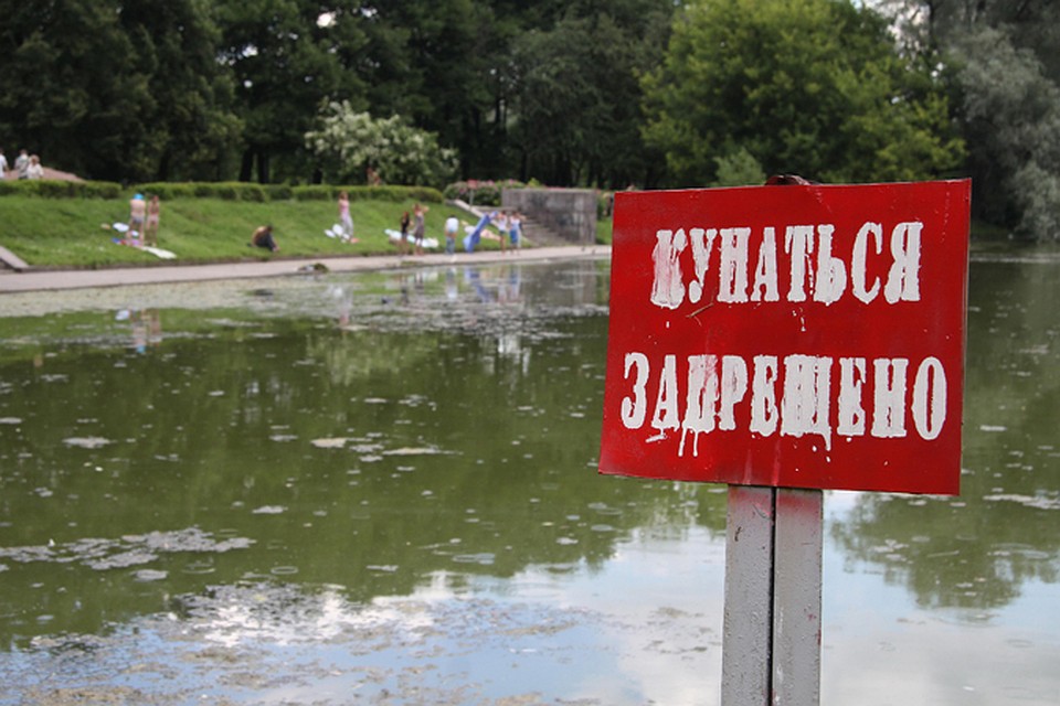 Губит людей не вода, а пиво и что покрепче.