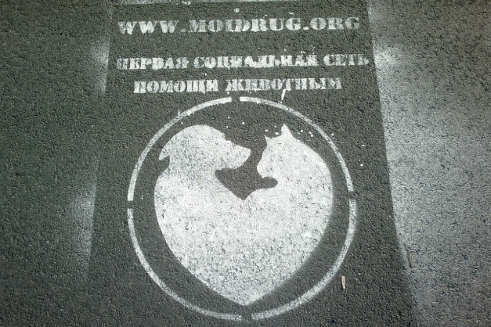 Кому-то реклама на асфальте помогает.