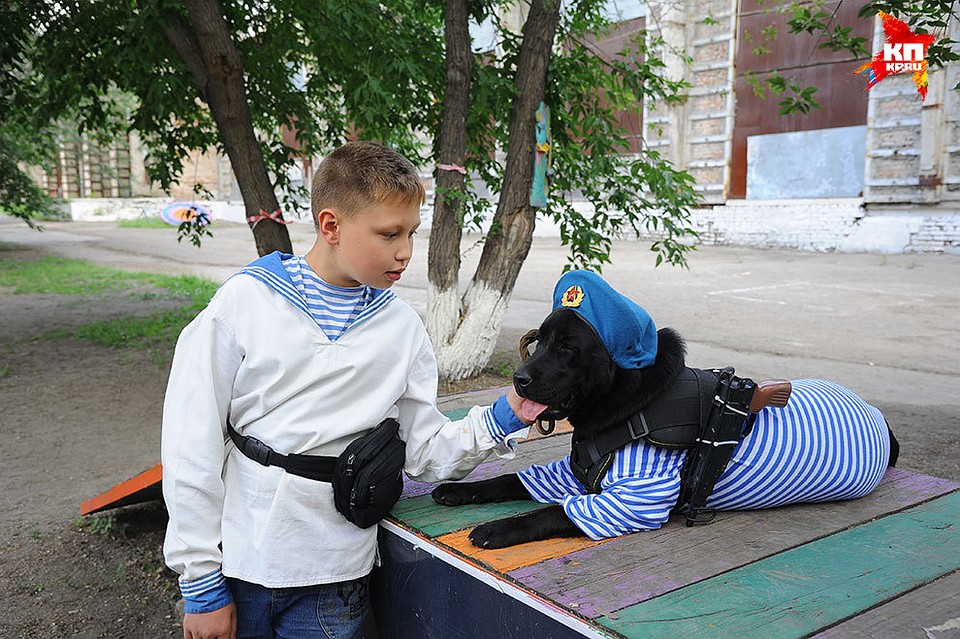 Фото: Николай КРИВИЧ