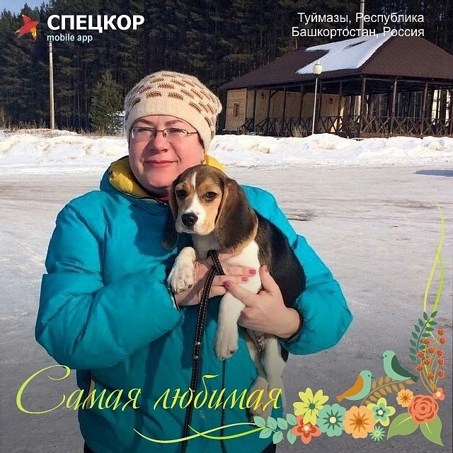 Фото: Мобильное приложение «Спецкор» от «Комсомольской правды»