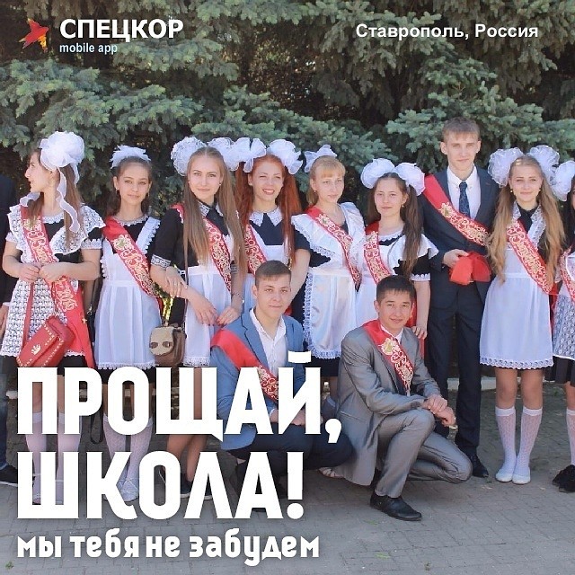 Фото: Мобильное приложение «Спецкор» от «Комсомольской правды»