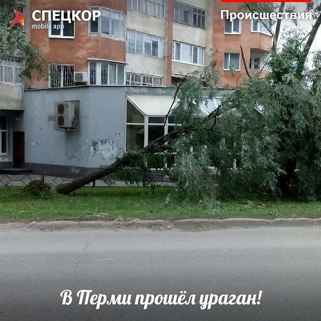 Фото: Мобильное приложение «Спецкор» от «Комсомольской правды»