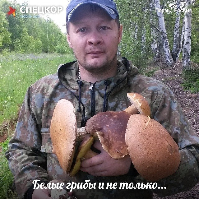 Фото: Мобильное приложение «Спецкор» от «Комсомольской правды»