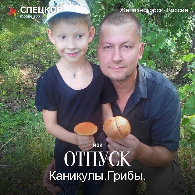 Фото: Мобильное приложение «Спецкор» от «Комсомольской правды»