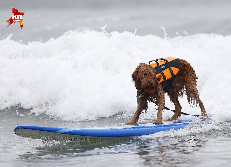 Фото: REUTERS
