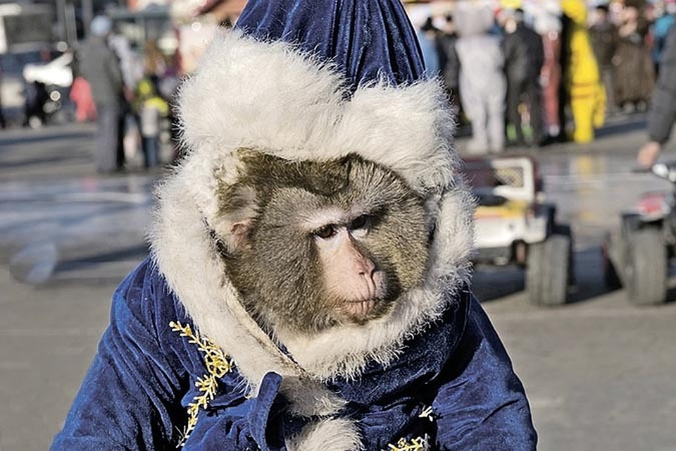 Не болейте! Фото: Фотобанк Лори.