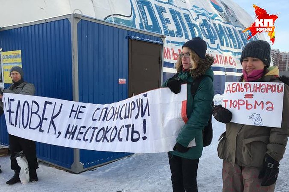 Фото: страничка в Facebook Алексея Коробейникова.