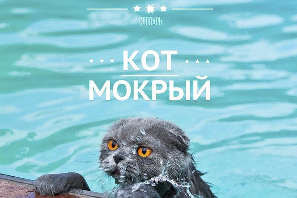 Фото: Андрей Соловьев