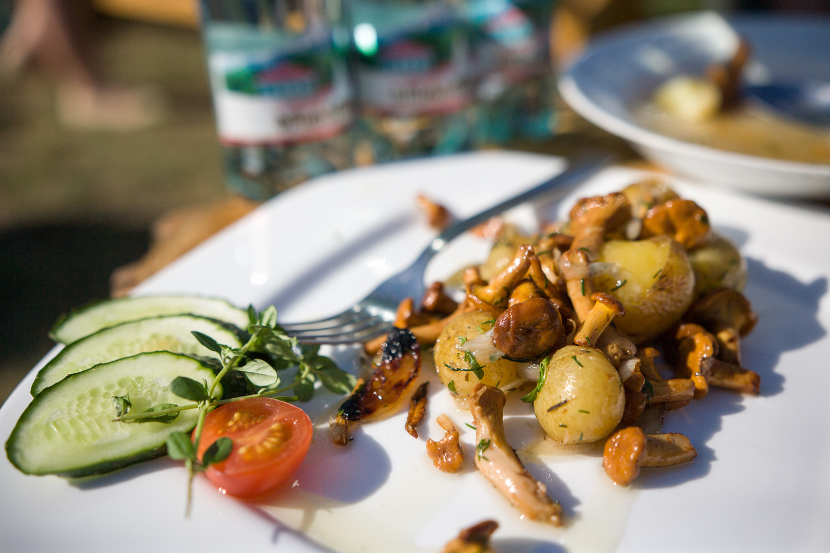 Блюдо из лисичек. Фото: Антон МОТОЛЬКО