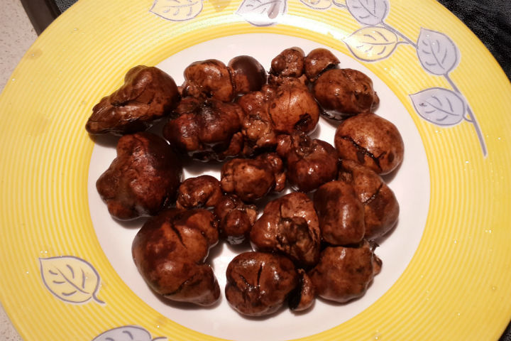 Уфимский грибник ищет покупателя для трюфелей