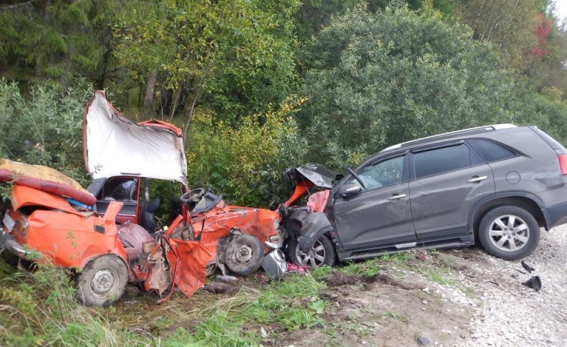 Предоставлено УМВД России по Владимирской области