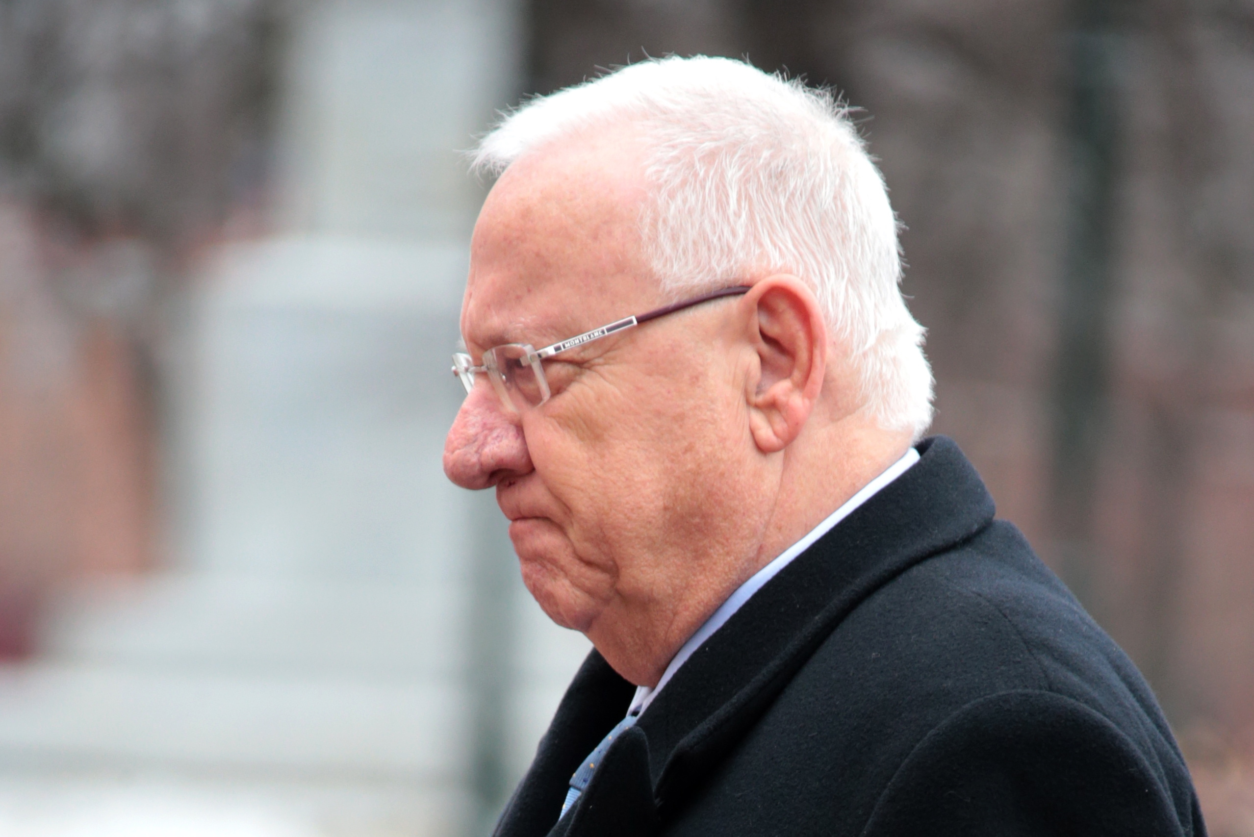 Image result for реувен ривлин арабы