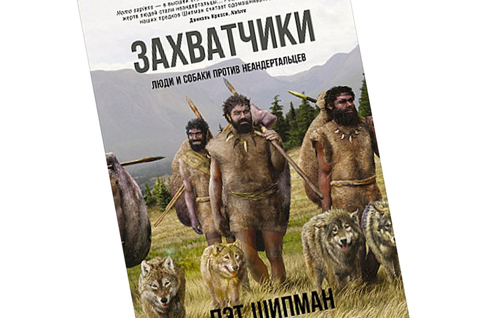Фото: Обложка книги