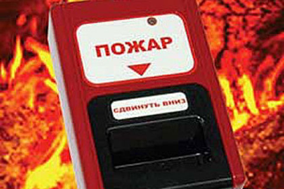 В сгоревшем ангаре обнаружили 17 автомобилей
