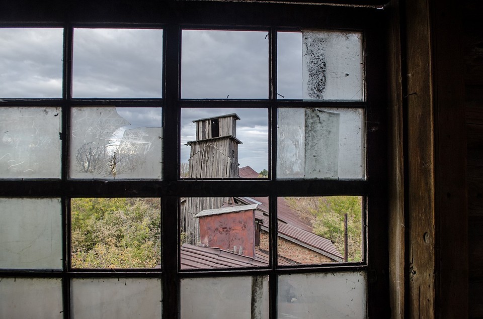 Фотоохота в Кинель-Черкасском районе: так вот ты какой, олень благородный Фото: Андрей ЦЫГАНОВ