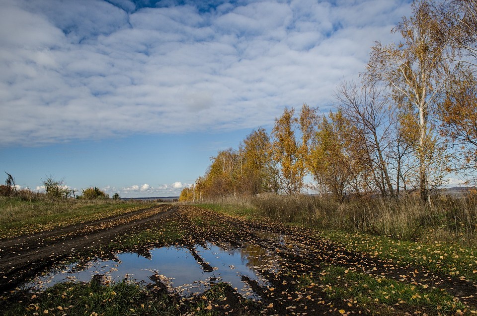 Фотоохота в Кинель-Черкасском районе: так вот ты какой, олень благородный Фото: Андрей ЦЫГАНОВ