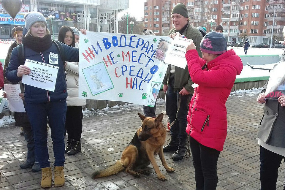 Митинг против живодеров в Ярославле.