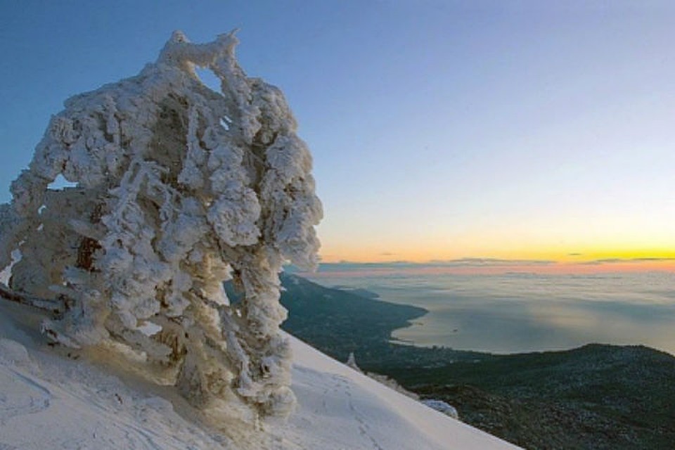 Фото: siberian.mchs.ru