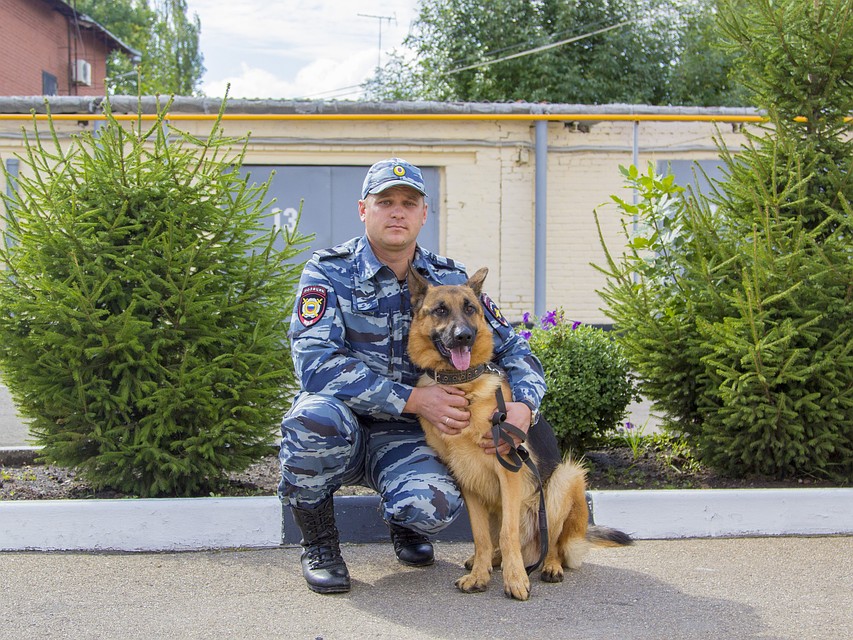 Фото: Пресс-служба ГУ МВД по Краснодарскому краю