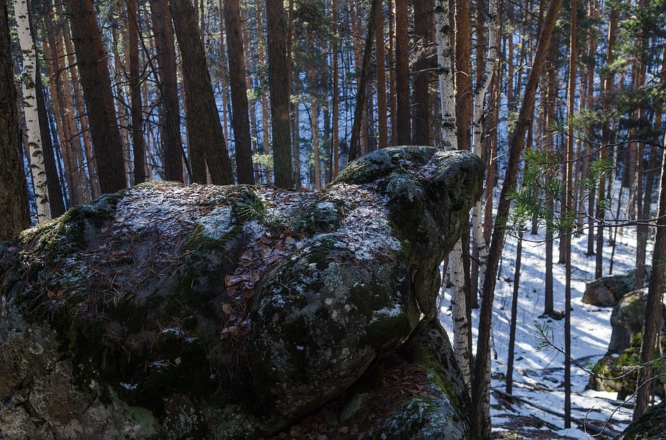 Сызранский район: сквозь каменные джунгли Фото: Андрей ЦЫГАНОВ