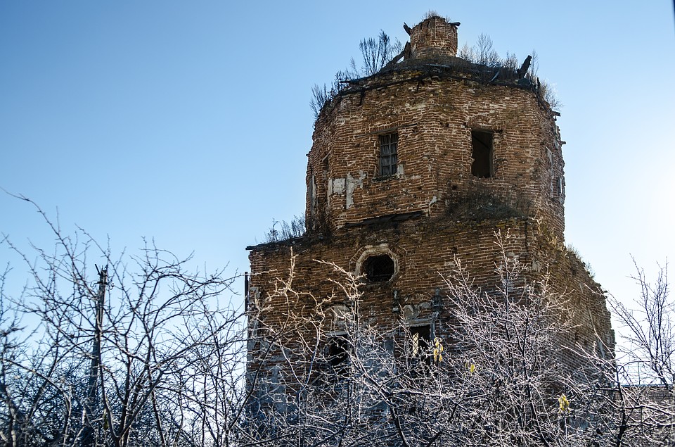 Сызранский район: сквозь каменные джунгли Фото: Андрей ЦЫГАНОВ