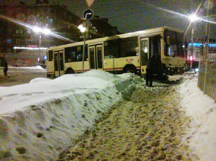 Фото: ИГГС