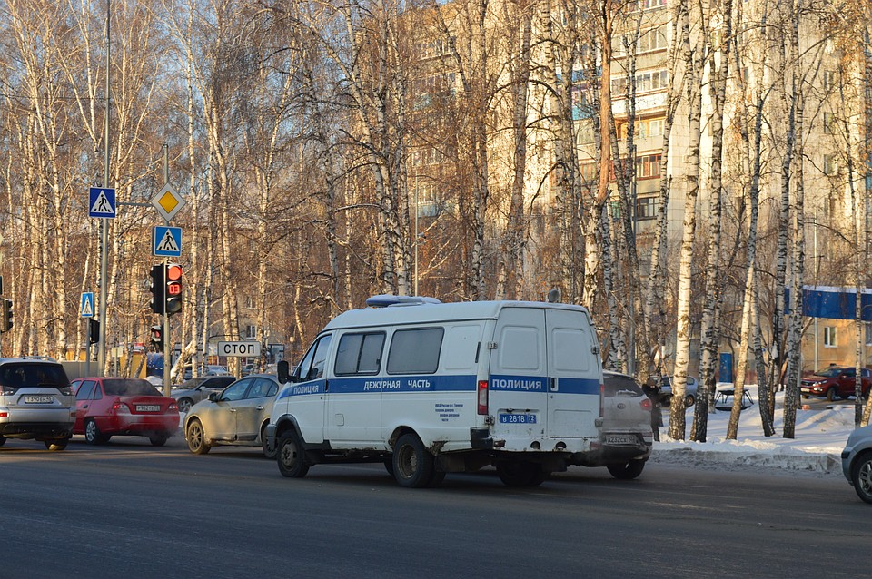 Злоумышленника поймали полицейские