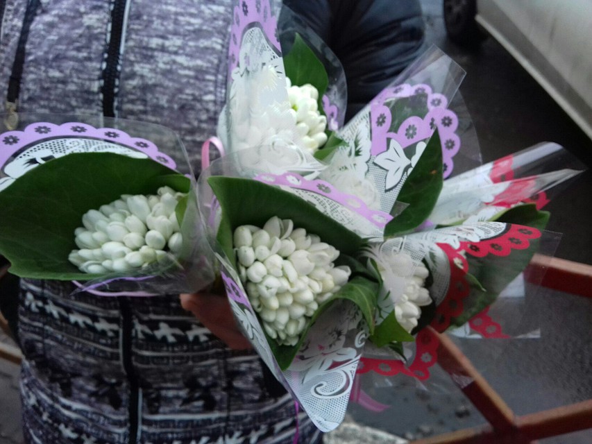 Подснежники в Ярославле.