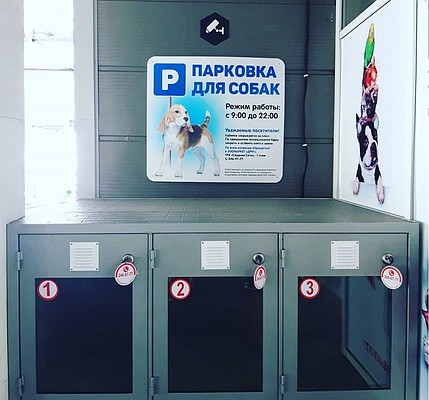 Теперь посетители супермаркетов могут оставить своих любимцев в специальной ячейке, находящейся под видеонаблюдением. Фото: Анна Винокурова.