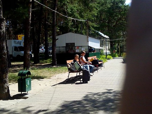 Тысячи школьников отдохнут этим летом в регионе