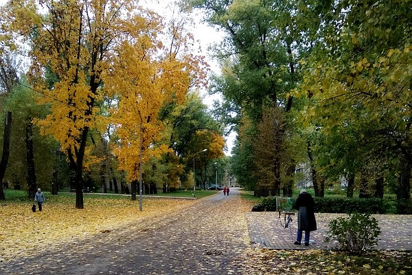 Несмотря на холода, липчане наслаждаются красотой осени
