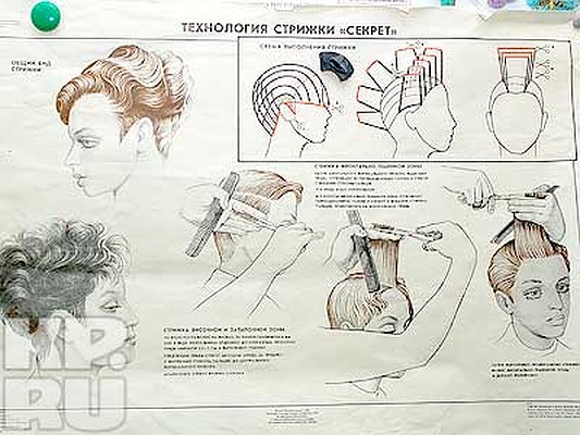 Схема стрижки гаврош Схема стрижки гаврош