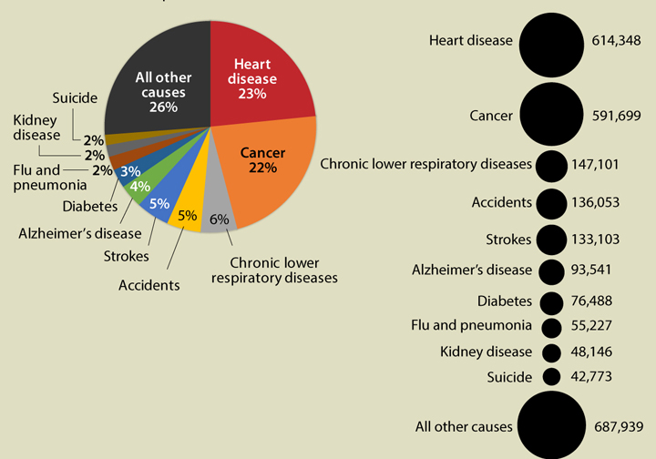 Десять наиболее вероятных причин смерти. 