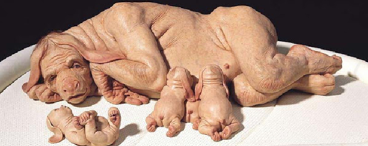 Так могла бы выглядеть человекообразная свинья. А может быть, и корова. 