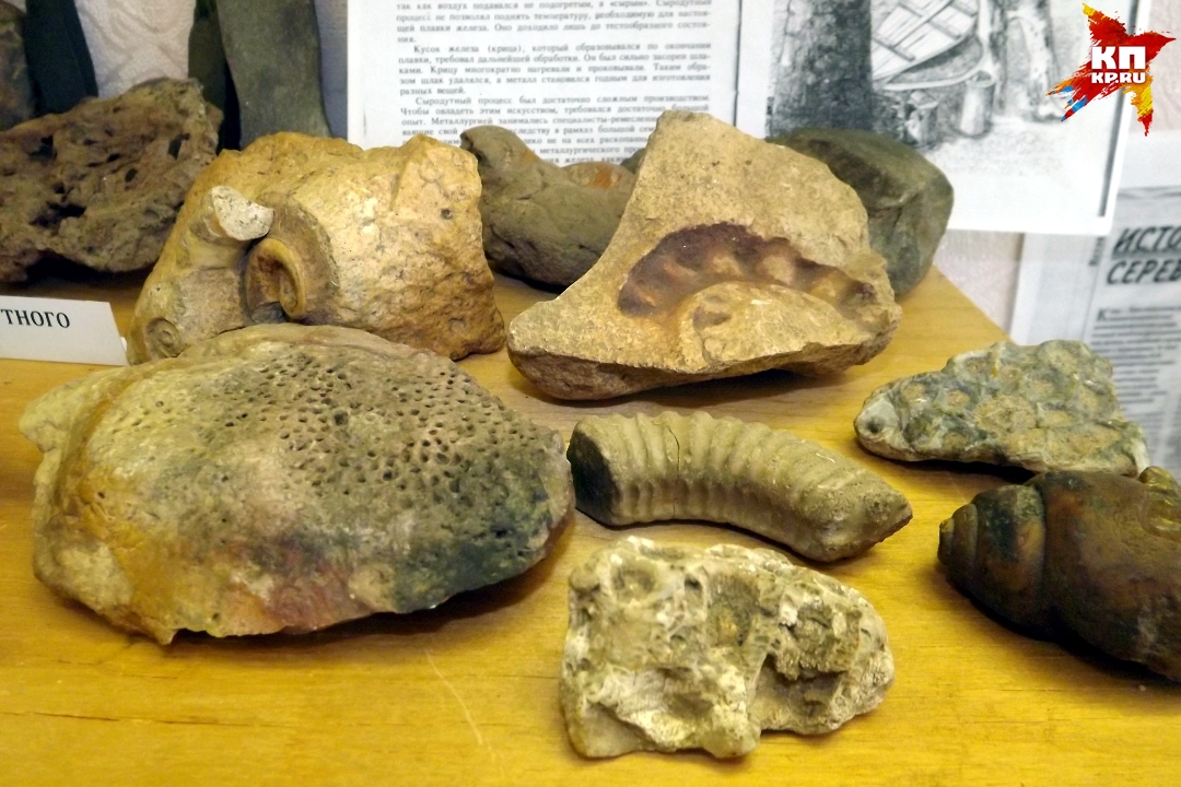 Чего только нет в его огородной коллекции - и окаменелости Фото: Ирина ТАРАСОВА