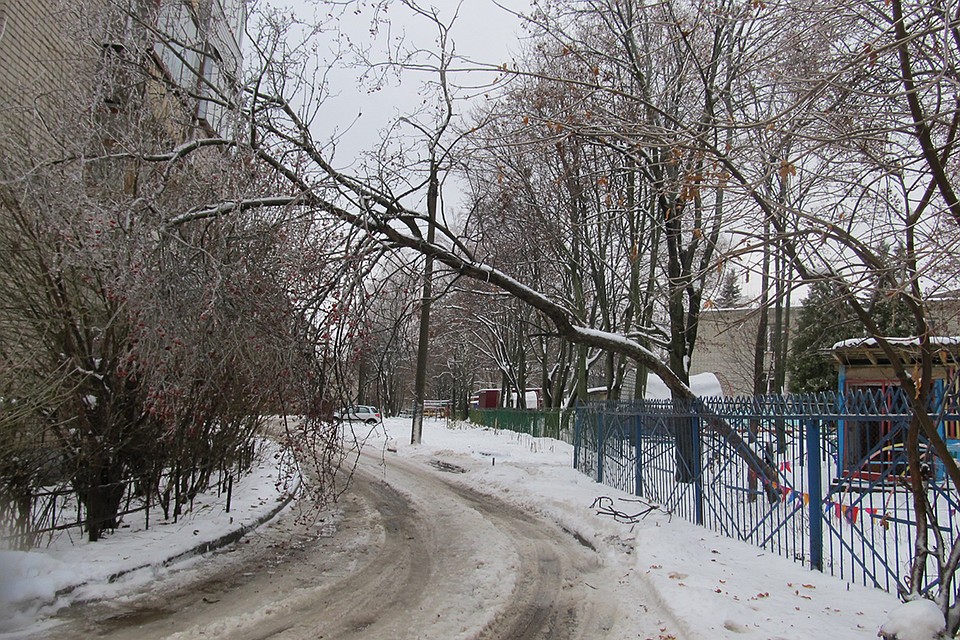 . Фото: Полина МОИСЕЕВА