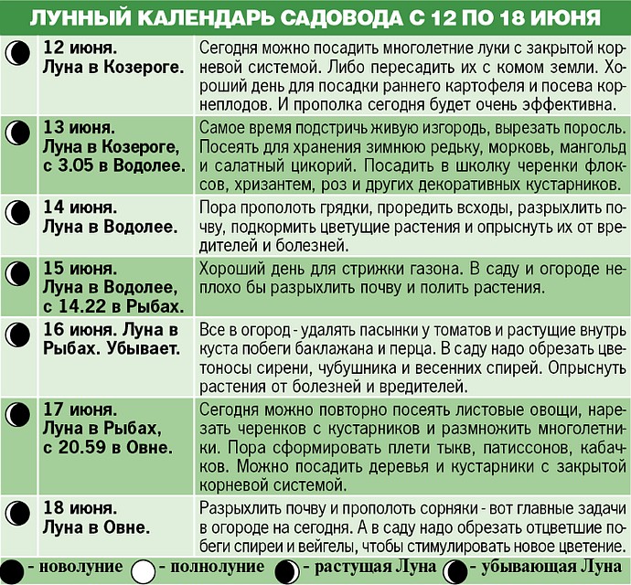 Лунный календарь садовода с 12 по 18 июня