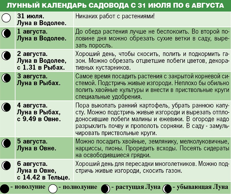 Лунный календарь садовода с 31 июля по 6 августа