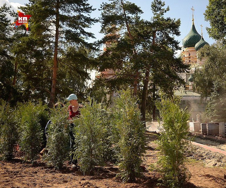 Город очень зеленый Фото: Виктор ГУСЕЙНОВ