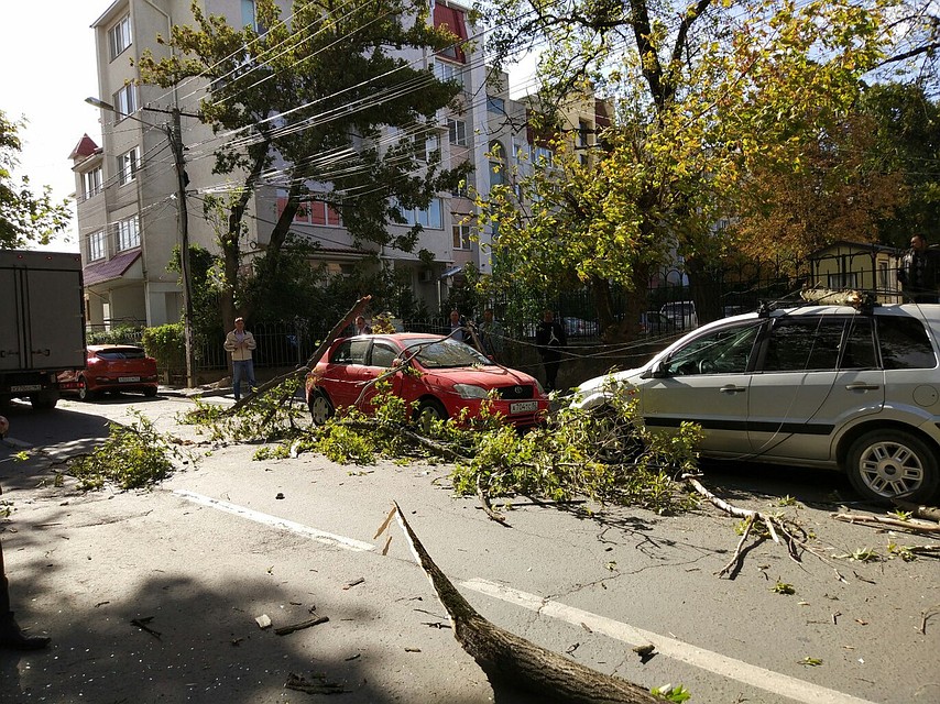 Владельцы машин ожидают сотрудников полиции. Фото: Анастасия МЕДЫНЦЕВА