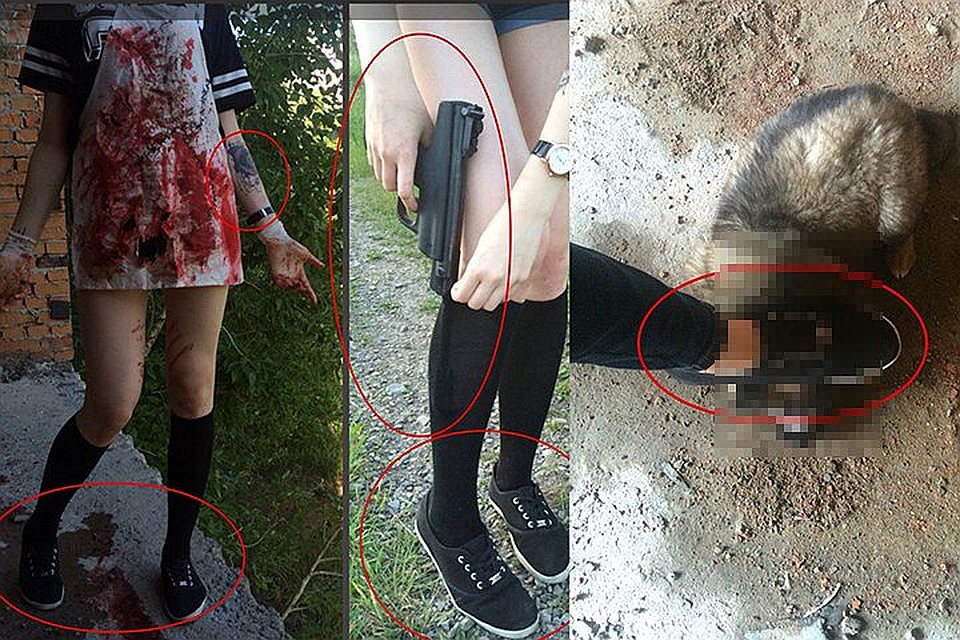 По некоторым данным, парень влюбился в Савченко, увидев в интернете фото, на которых она издевается над животными. Фото: Социальные сети