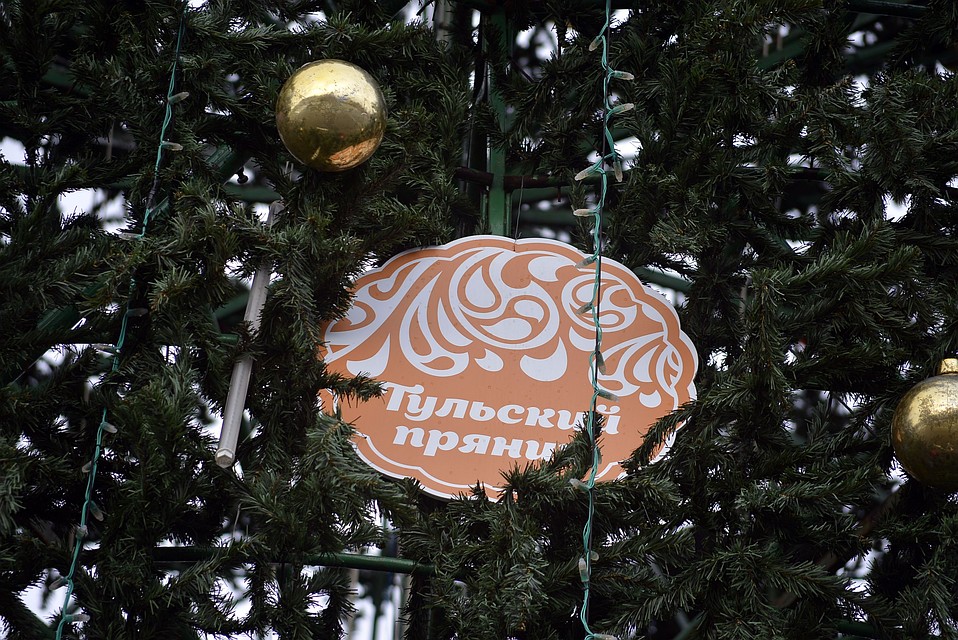 Фото: Алексей ФОКИН