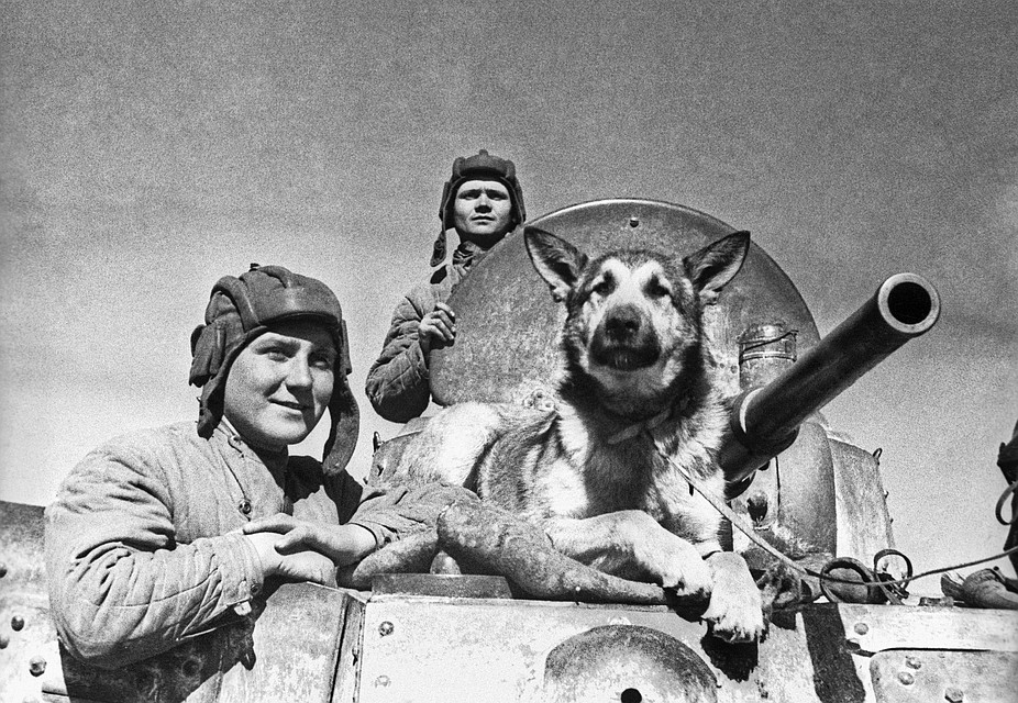 Экипаж советского бронеавтомобиля БА-10: старший сержант Е.П.Эндрексон, сержант В.П. Поршаков, Т.Д. Деренко и овчарка Джульбарс. Фото Эммануила Евзерихина, 1942 год (Фотохроника ТАСС)
