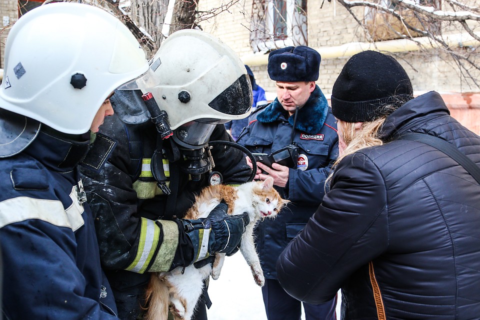 Он делал животному массаж сердца, теребил лапы... Фото: ГУ МЧС по Волгоградской области