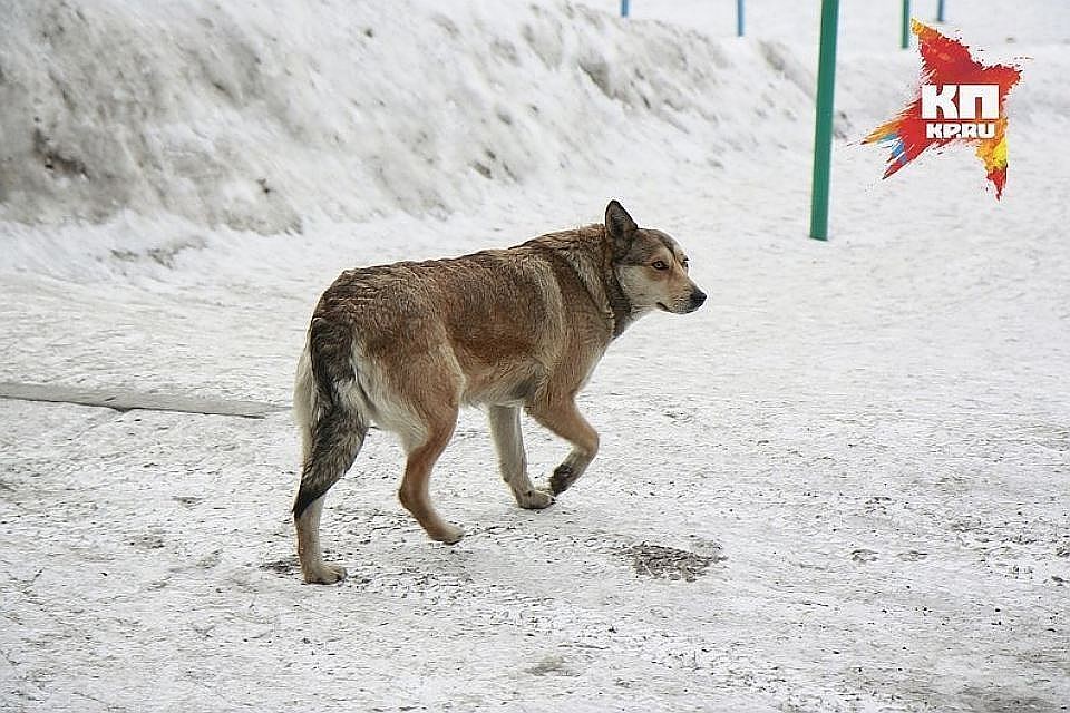 Архив