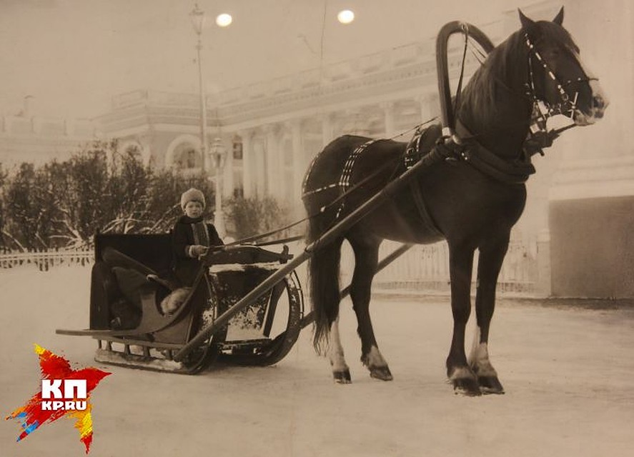 Сын Николая II Алексей в начале XX века. Фото: проект "Трагедия семьи... Трагедия Родины...", Свердловский областной краеведческий музей имени О.Е. Клера