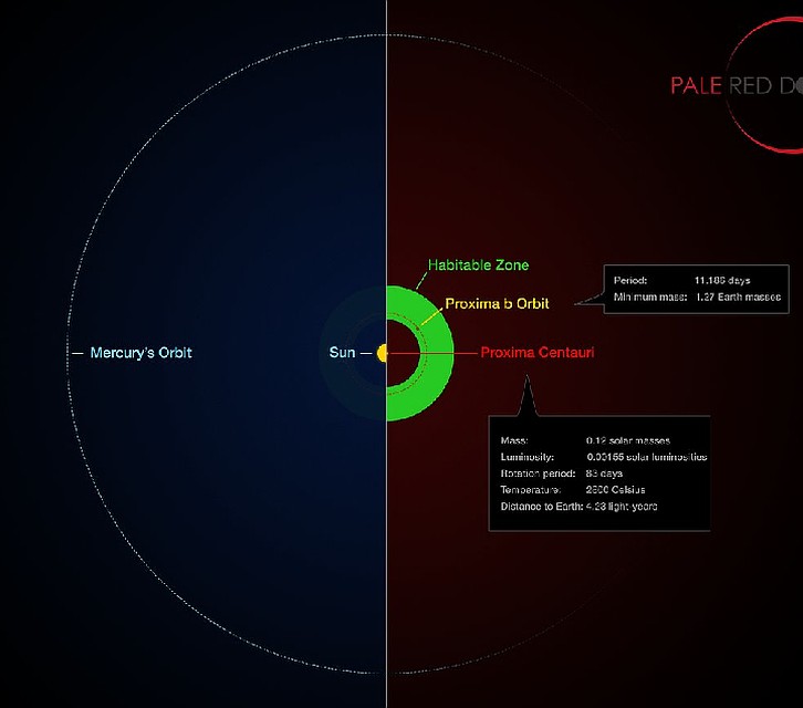 Орбита Proxima Centauri b (справа) легко поместилась бы внтури орбиты Меркурия.