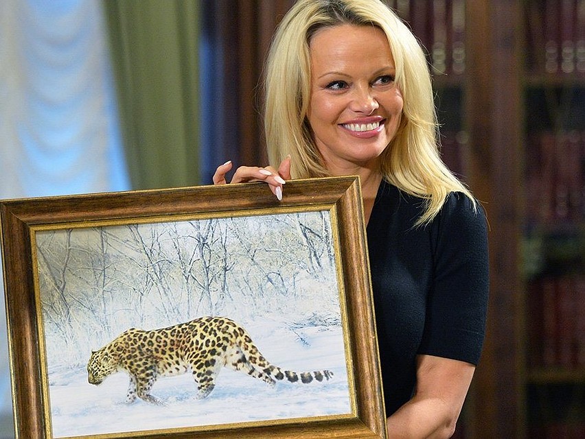 Актриса и зоозащитница Памела Андерсон во время приезда во Владивосток. Фото: leopard-land.ru
